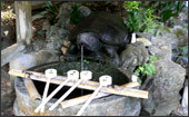 京都の観光・旅行−亀の井−
