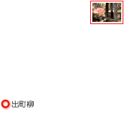 京都の観光・旅行 紅葉 アクセス−京都御所・京都御苑03−