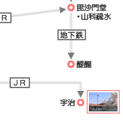 京都の観光・旅行 桜 アクセス−京都駅09−