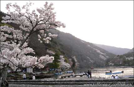 嵐山 京都 桜の名所