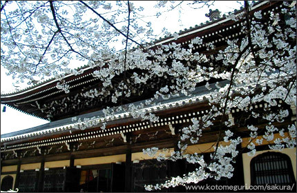 南禅寺 京都 桜の名所